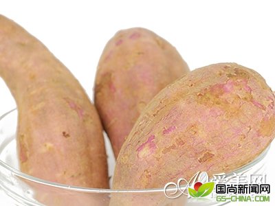  19����ǿ�Ŷ�����ʳƷ ���������������� 